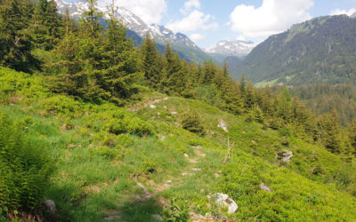 Trekking di montagna Alpe Gorda – 11 luglio 2021