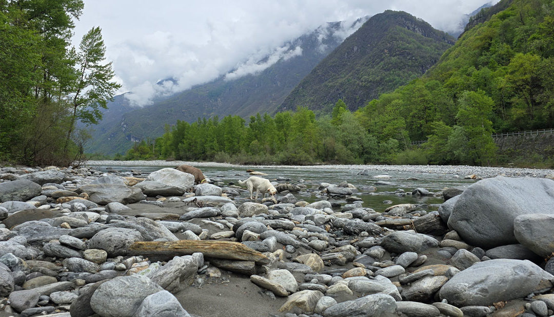 18 maggio 2025 – Valle Maggia