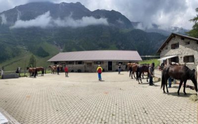 5 ottobre 2025 – Leventina Alpe Gèra