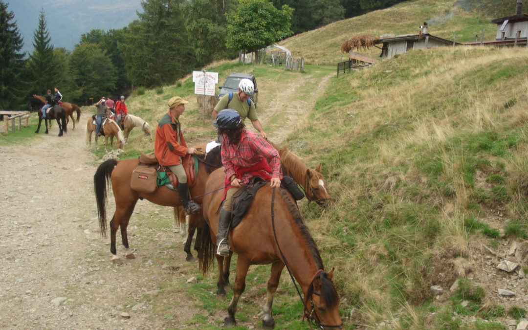 19 ottobre 2025 – Bogno Valcolla