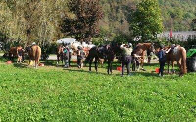 17 maggio 2026 – Mesolcina